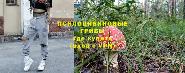 мдпв Михайловск