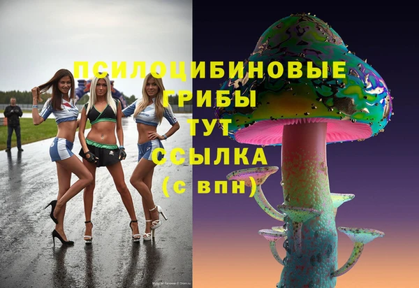 mdpv Надым