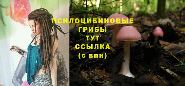 mdpv Надым
