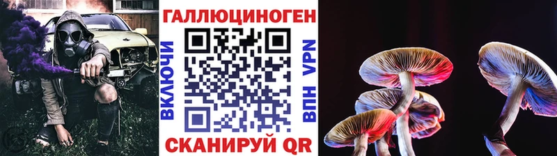 Псилоцибиновые грибы Psilocybine cubensis Торопец